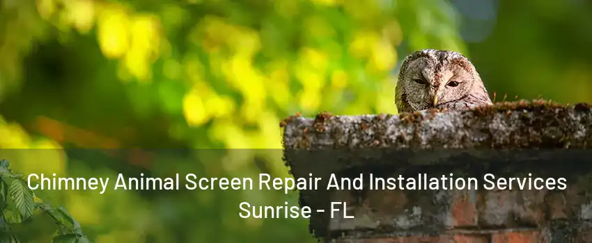 Chimney Animal Screen Repair And Installation Services Sunrise - FL