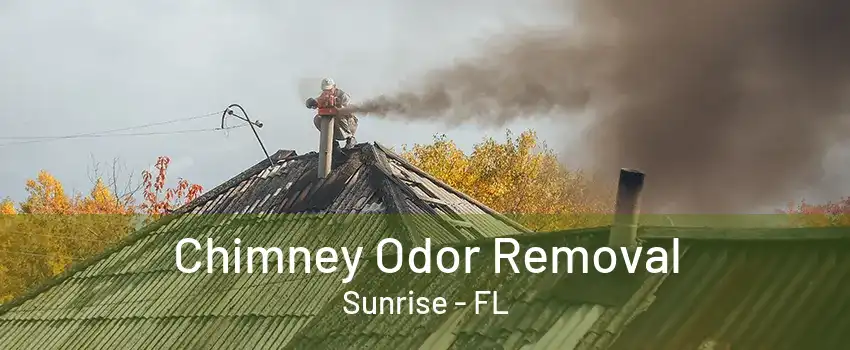 Chimney Odor Removal Sunrise - FL