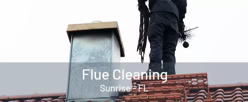 Flue Cleaning Sunrise - FL