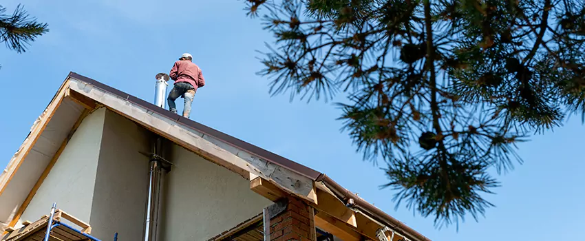 Birds Removal Contractors from Chimney in Sunrise, FL